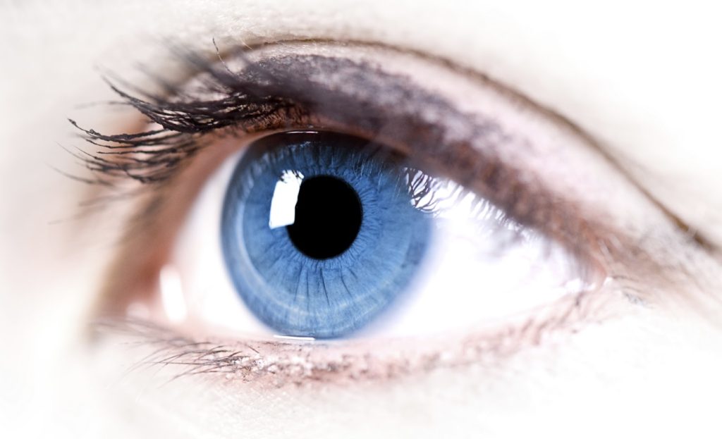 The Science Behind Blue Eyes and Dark Hair - wide 7